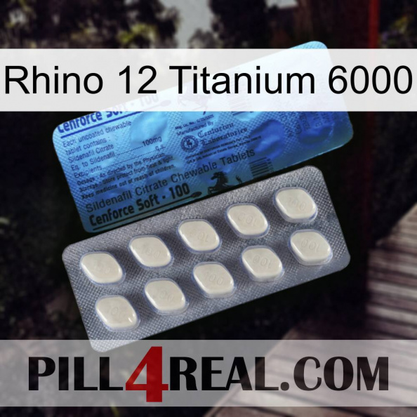 Rhino 12 Titanium 6000 34.jpg